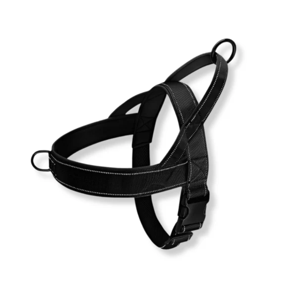 No Pull Dog Harness with Handle &amp; Dual Clips – Adjustable Escape Resistant Fit