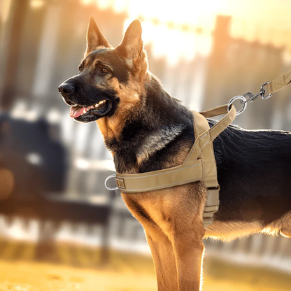 No Pull Dog Harness with Handle &amp; Dual Clips – Adjustable Escape Resistant Fit