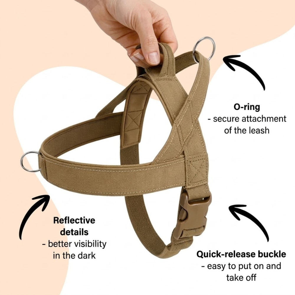 No Pull Dog Harness with Handle &amp; Dual Clips – Adjustable Escape Resistant Fit
