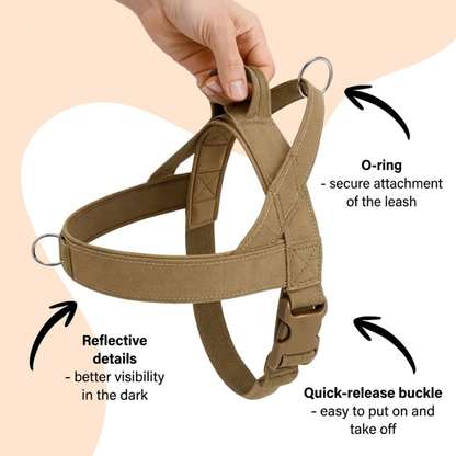 No Pull Dog Harness with Handle &amp; Dual Clips – Adjustable Escape Resistant Fit