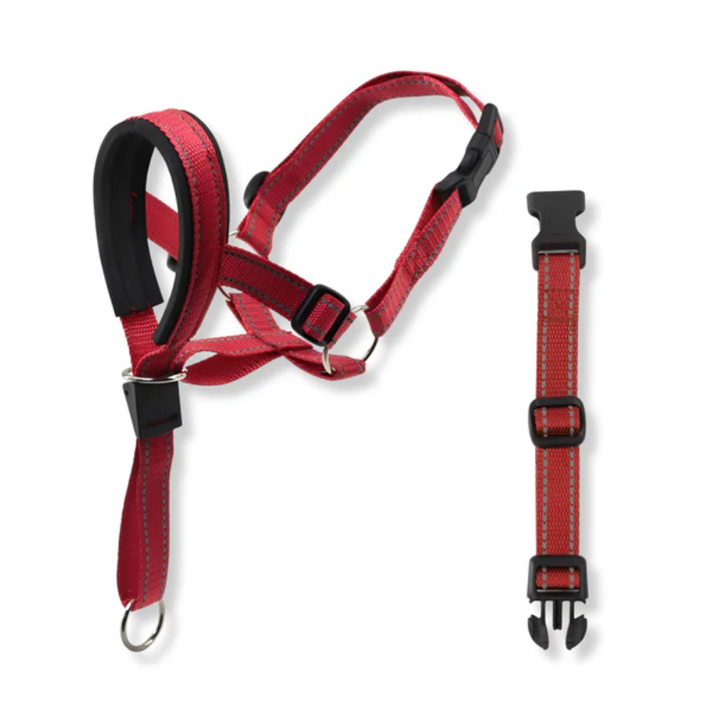 No Pull Dog Leach / muzzle with Padded Chest &amp; Reflective Strips – Pull Ease