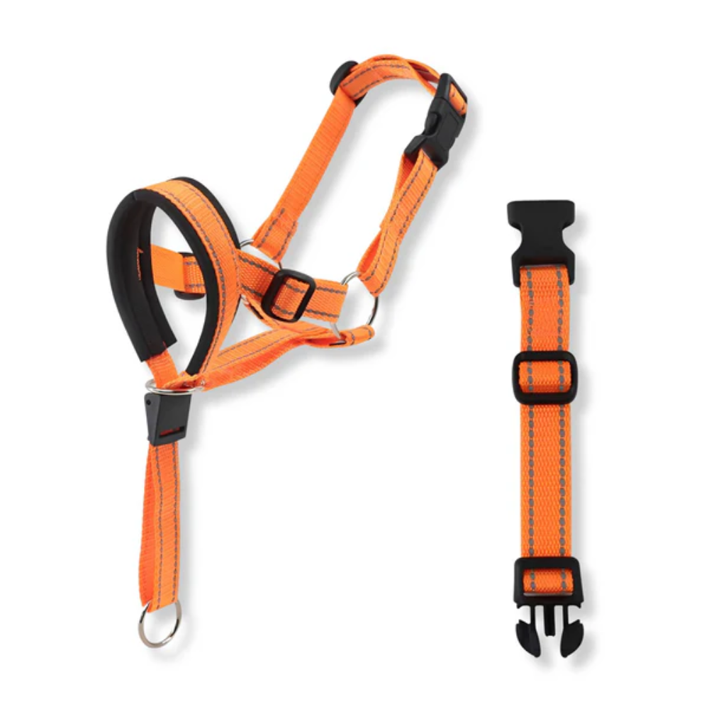 No Pull Dog Leach / muzzle with Padded Chest &amp; Reflective Strips – Pull Ease