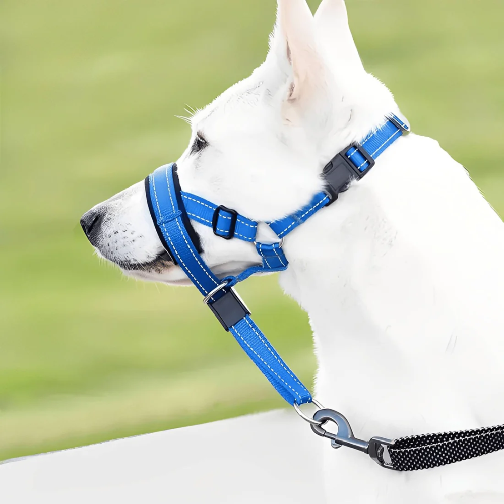 No Pull Dog Leach / muzzle with Padded Chest &amp; Reflective Strips – Pull Ease