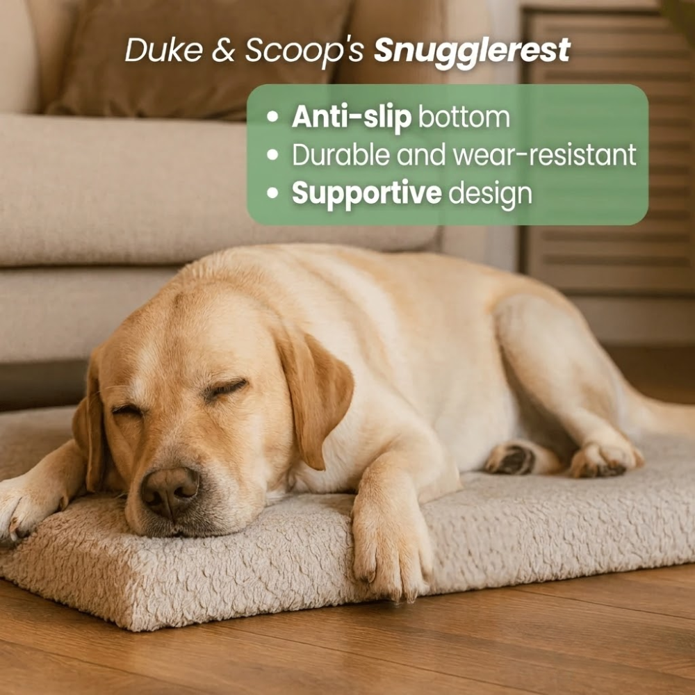 Dog Bed – Supportive Cushion Bed for Dogs