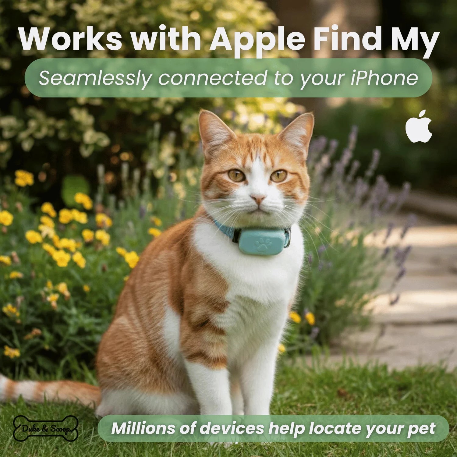 Pet GPS Tracker – Apple Find My Compatible Tracker for Dogs
