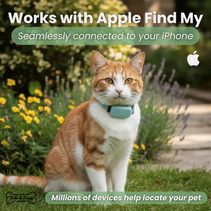 Pet GPS Tracker – Apple Find My Compatible Tracker for Dogs