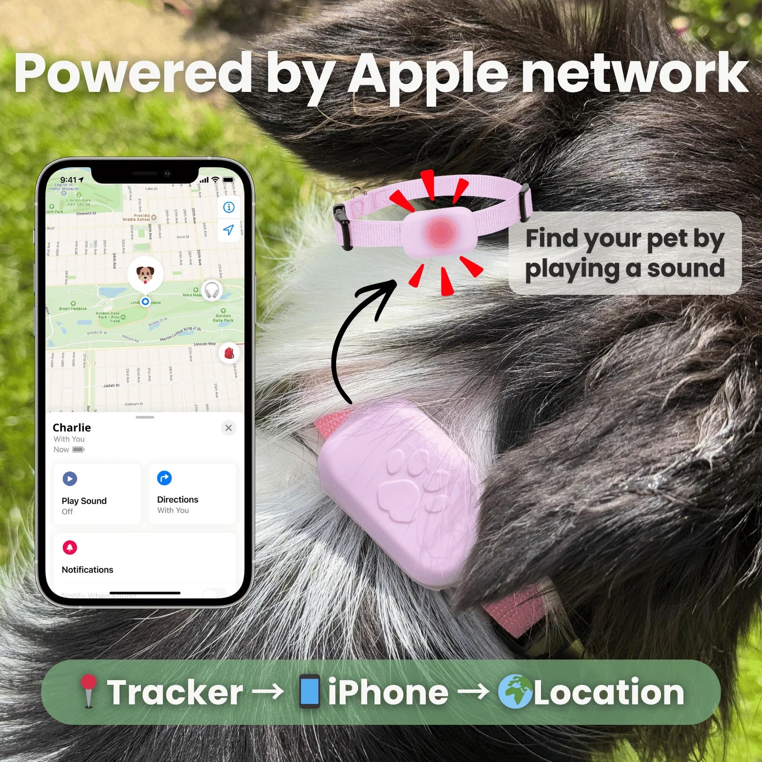 Pet GPS Tracker – Apple Find My Compatible Tracker for Dogs