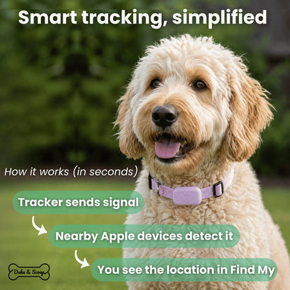 Pet GPS Tracker – Apple Find My Compatible Tracker for Dogs