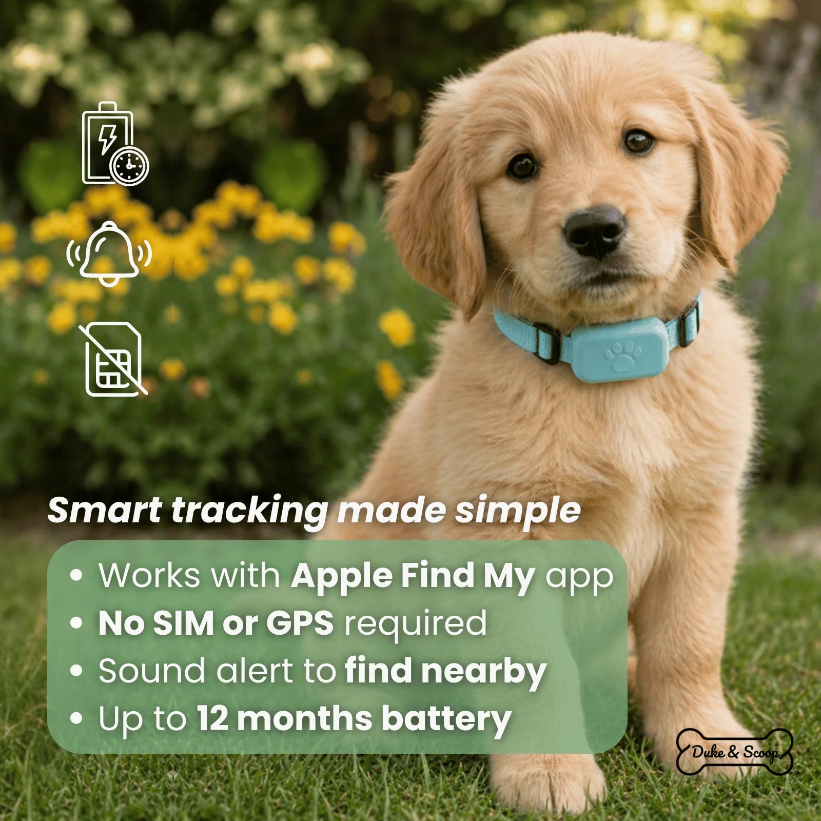 Pet GPS Tracker – Apple Find My Compatible Tracker for Dogs