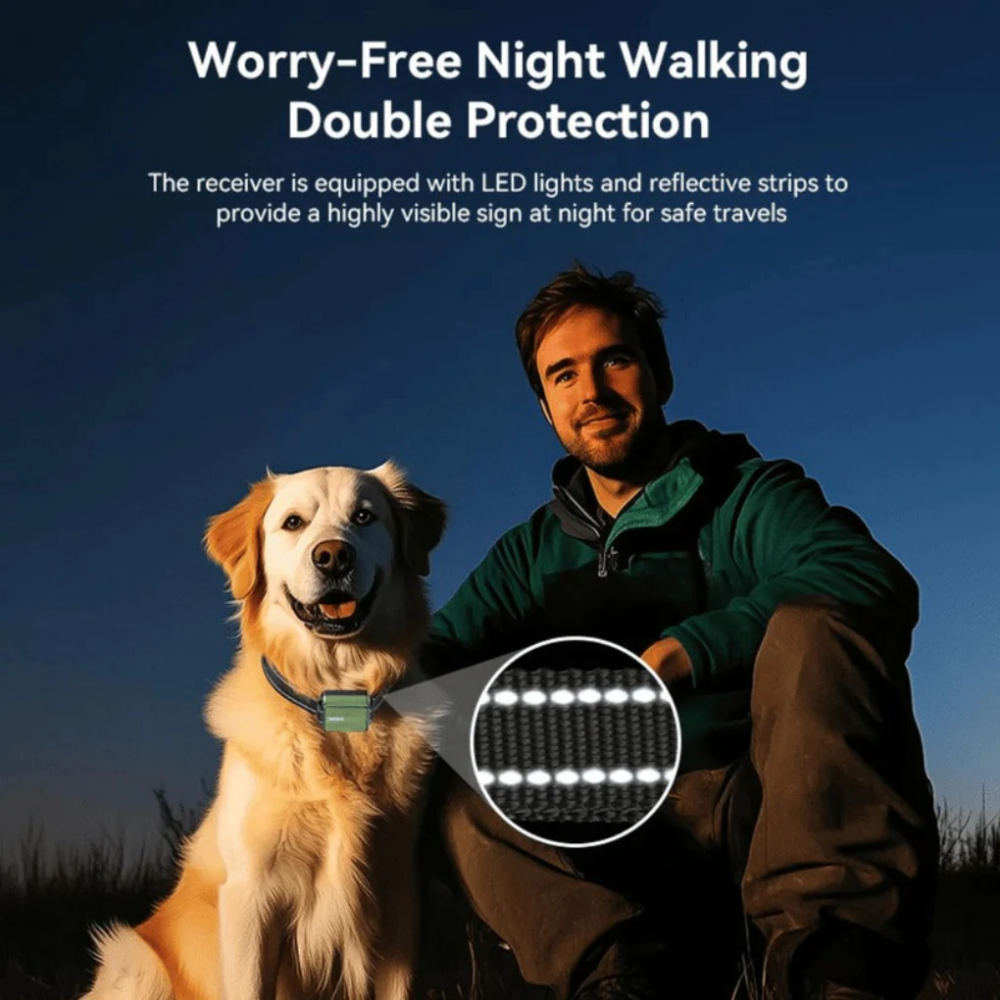 Remote Dog Training Collar – Adjustable Training System with 300m Range
