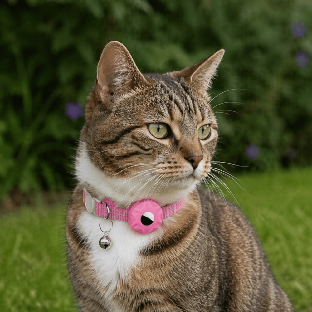 Smart Cat Tracker Collar for Cats with GPS Pet Tracking
