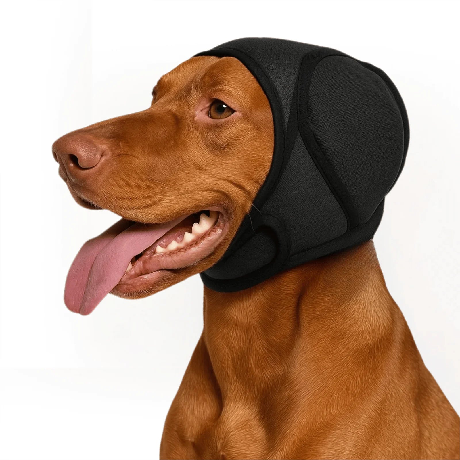 Waterproof Dog Ear Covers – Protective Dog Bathing Accessories