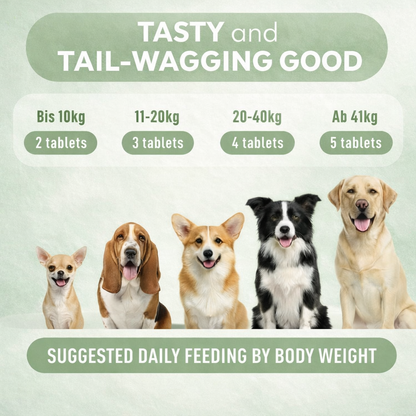 Calming Chew Tablets for Dogs | 203 Count